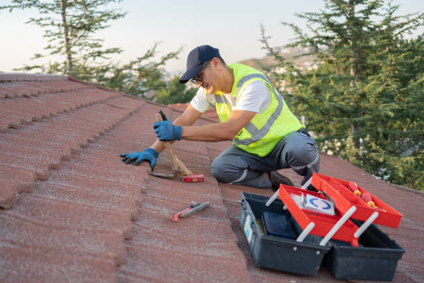 Best Metal Roofing Contractor  in Deadwood, SD